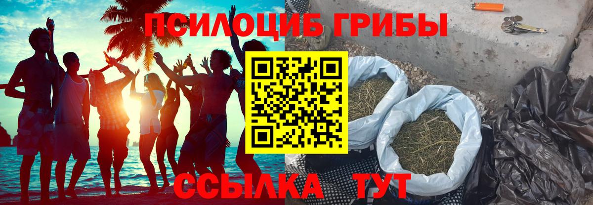 Псилоцибиновые грибы GOLDEN TEACHER  Вход с VPN  Мурманск  Галлюциногенные грибы Cubensis 