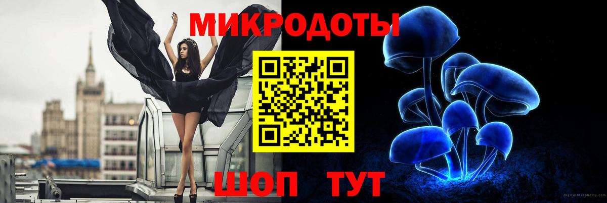 Псилоцибиновые грибы прущие грибы Мурманск
